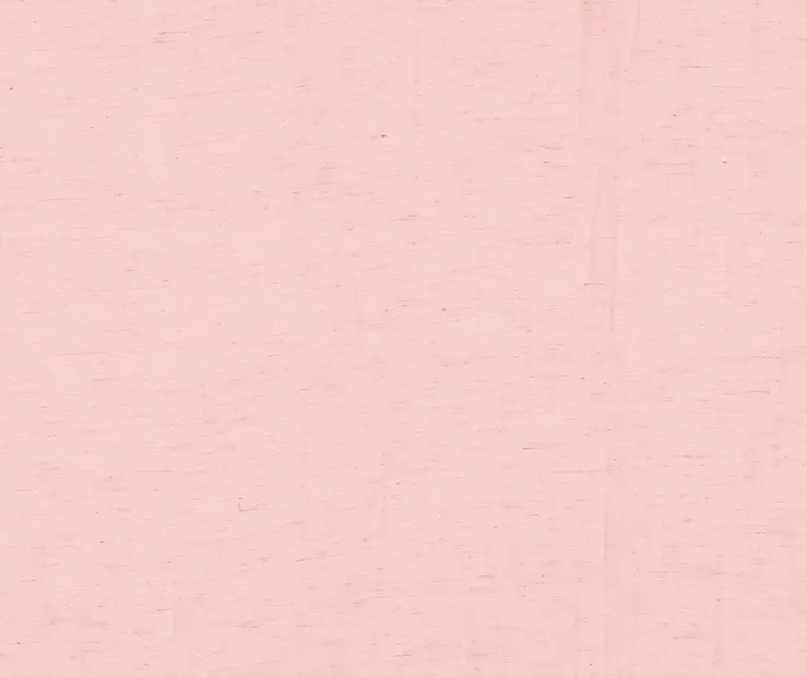 Priya Pink Semi-Sheer Tab Top Curtain Panel, (84") 3 Priya Pink Semi-Sheer Tab Top Curtain Panel, (84") - Image 3