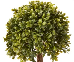 Topiary In Ceramic Pot -Cuisinart Store 810498553 1