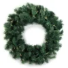 24" Washington Frasier Fir Light-Up Wreath