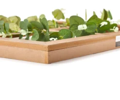 Brown & Green Wreath On Window Pane Wall Décor -Cuisinart Store 810538434 1