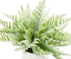 Fern In White Ceramic Pot -Cuisinart Store 810544287 1