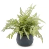 11" Green Artificial Fern In Black Round Pot