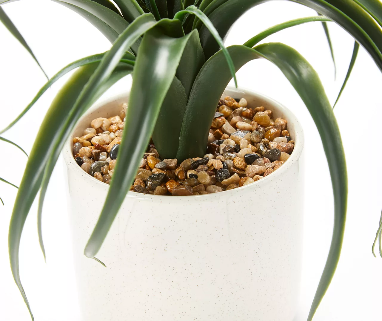 Green Aloe In Off-White Speckled Pot 2 Green Aloe In Off-White Speckled Pot - Image 2