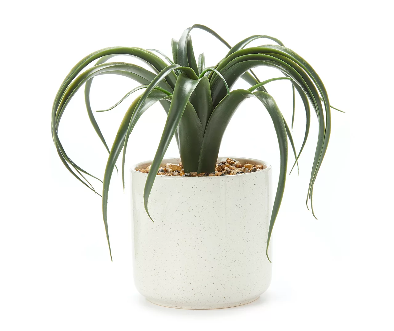 Green Aloe In Off-White Speckled Pot 1 Green Aloe In Off-White Speckled Pot