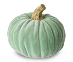 Mint Green Velvet 3-Piece Rib Pumpkin Set -Cuisinart Store 810547831 4