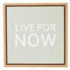 "Live For Now" Sage Green Framed Canvas