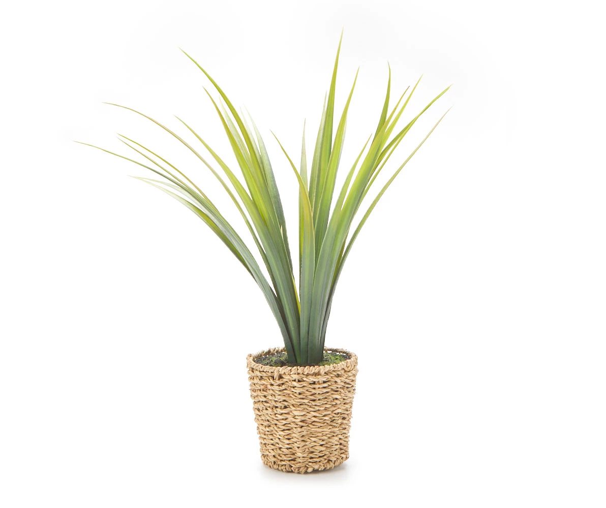 Green Artificial Cymbidium Plant With Brown Woven Pot 1 Green Artificial Cymbidium Plant With Brown Woven Pot