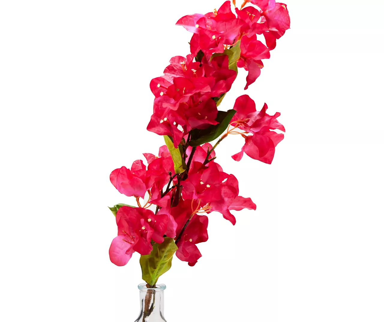 Grecian Getaway Red Artificial Bougainvillea Stem With Glass Vase 2 Grecian Getaway Red Artificial Bougainvillea Stem With Glass Vase - Image 2