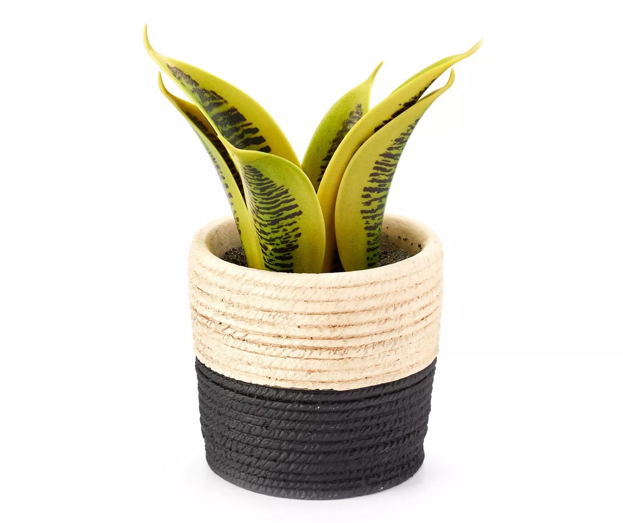 Artificial Succulent In Black & White Braid Resin Pot 1 Artificial Succulent In Black & White Braid Resin Pot