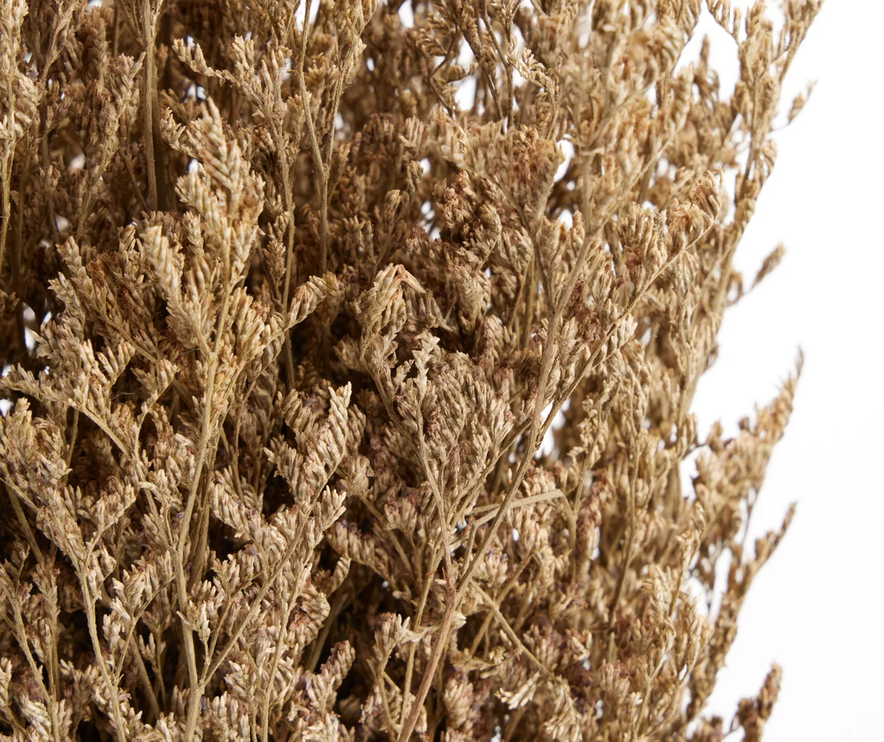 Dried Floral Arrangement In Vase 2 Dried Floral Arrangement In Vase - Image 2