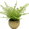 Homeward Artificial Greenery In Gold Cement Pot