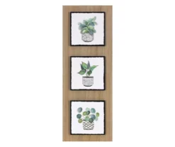 Plant Mix Trio Print Wall Decor